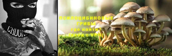 гашик Каменск-Шахтинский