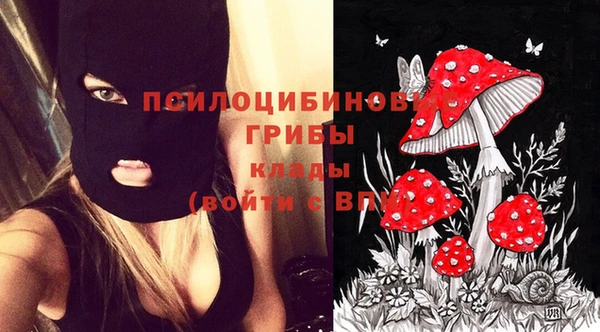 кокаин VHQ Каменка