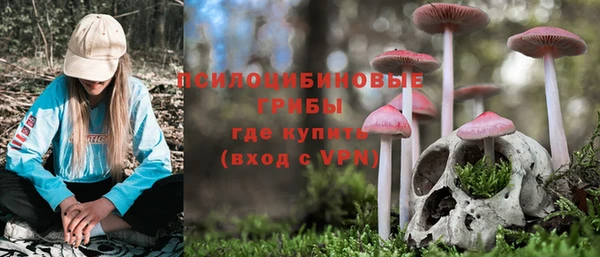 бутират Карпинск
